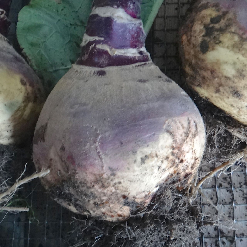 Purée de patates carottes et rutabagas