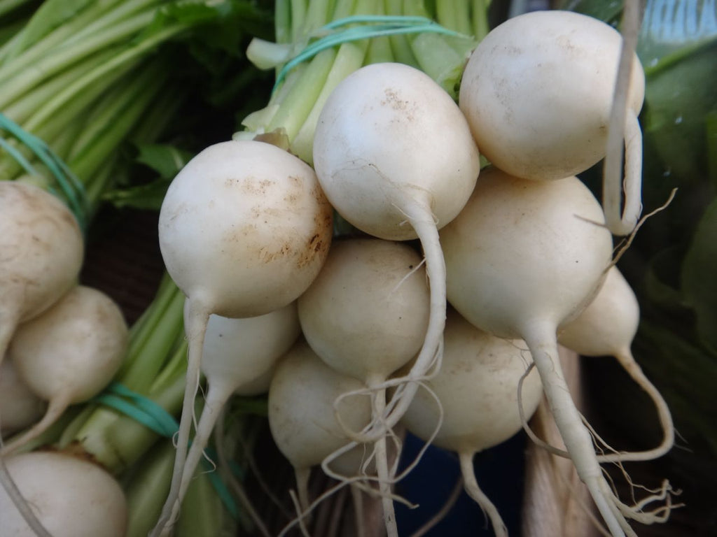 Spring Turnips with Herb Butter