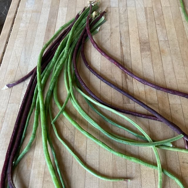 Tourne-Sol Haricots verts sur une planche à découper.