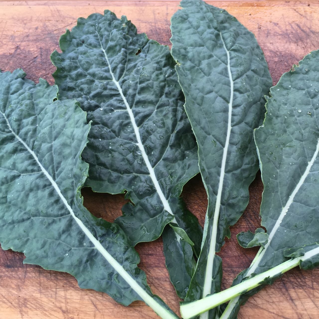 Feuilles de Tourne-Sol Kale Lacinato sur une planche à découper, montrant leur texture.