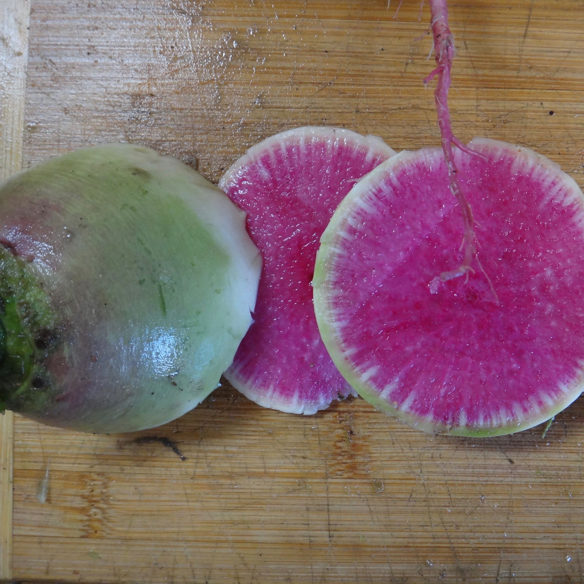 Un Radis Melon d'Eau rond et piquant de Tourne-Sol sur une planche à découper.