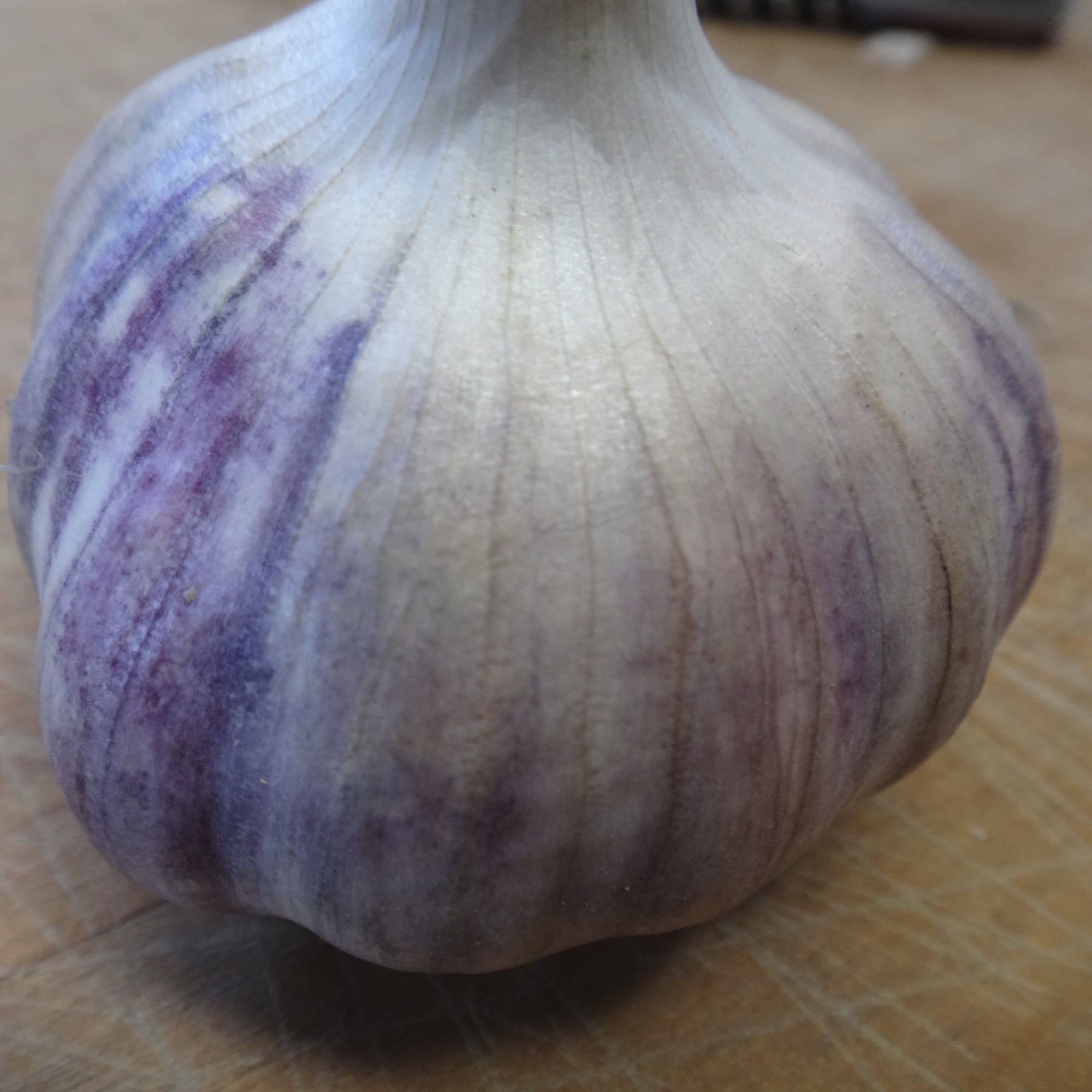 Un gros plan d'un Tourne-Sol Bulbes d'Ail Rocambole Violet de Corée sur une planche à découper au Québec.