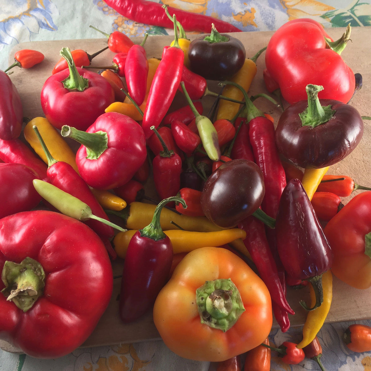 Un tas de jalapenos et de cayennes Piment Fort Mélange sur une planche à découper. (Marque : Tourne-Sol)