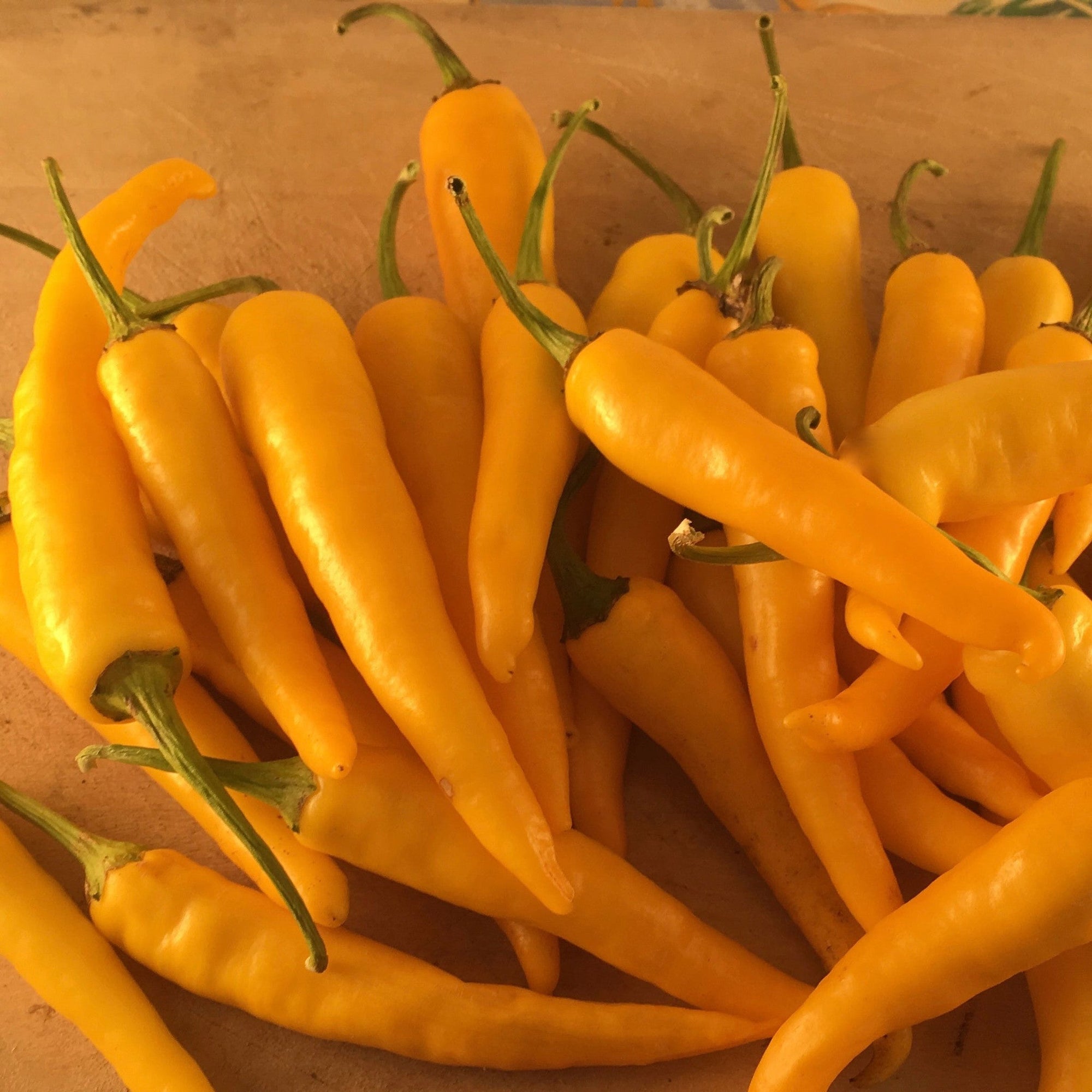 Un tas de poivrons Piment Fort Ho Chi Minh Format Vrac jaune vif avec des tiges vertes fraîches, présentés sur une surface en bois par Tourne-Sol.