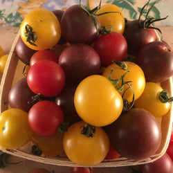 Tomates Cerises Mélangées