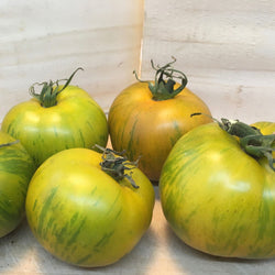 Tomate Verte Green Zebra