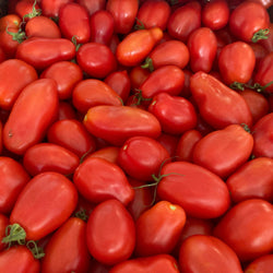 Un bol de tomates Tomate Rouge à Sauce San Marzano de Tourne-Sol.