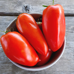 Dans un bol en bois sur une table, des Tomate Andine Cornue de la marque Tourne-Sol forment une sauce épaisse.
