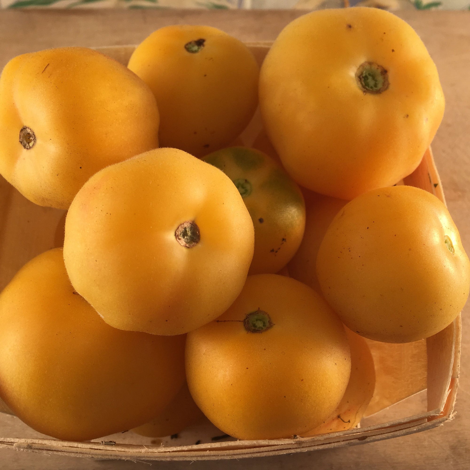 Un panier rempli de tomates jaunes Tourne-Sol, un sucré, sur une table en bois.