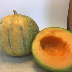 Melon Petit Gris de Renne