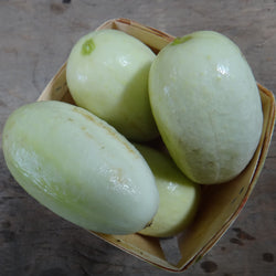 Quatre melons Concombre Dragon Egg dans un panier sur une table en bois, variété croate. (Nom de marque : Tourne-Sol)